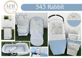 543 Rabbit